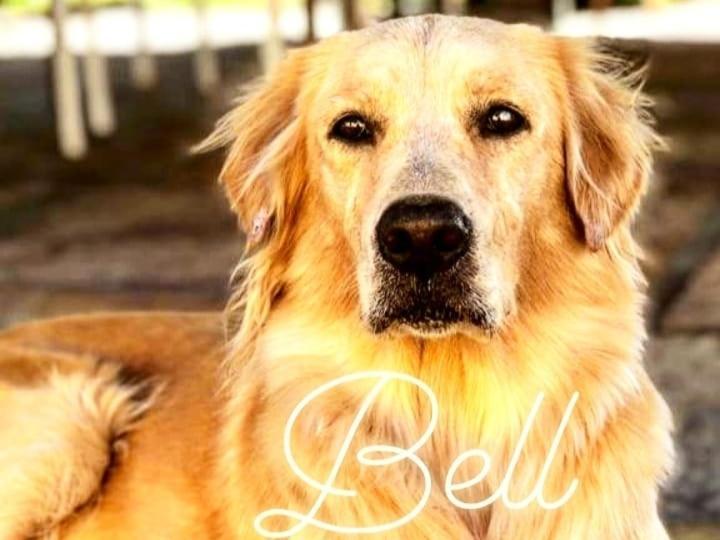 Pousada Da Bell บาร์เฮรินยัส ภายนอก รูปภาพ